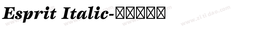 Esprit Italic字体转换